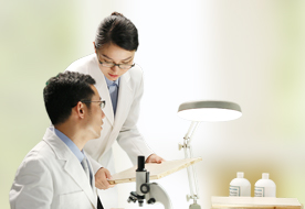 六台盒宝典资料大全2025 六台盒宝典资料大全2025